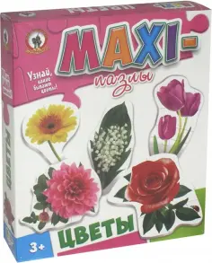 Пазлы