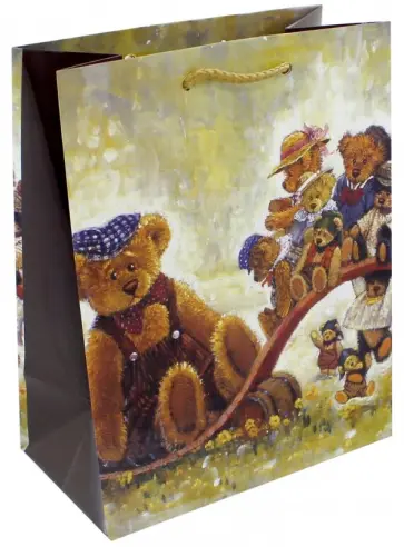 Пакет подарочный ламинированный (180х227х100 мм) (M 2253) обложка книги