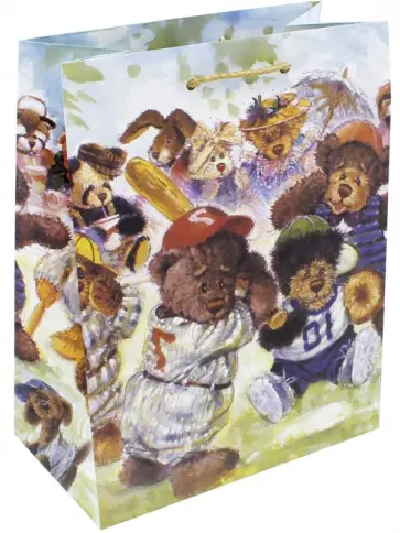 Пакет подарочный ламинированный (180х227х100 мм) (M 2254) обложка книги