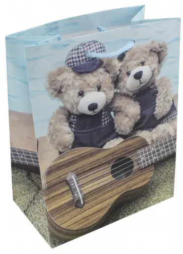 Пакет подарочный ламинированный (180х227х100 мм) (M 2252) обложка книги