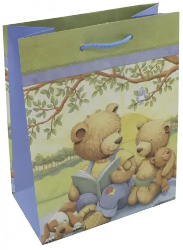 Пакет подарочный ламинированный (180х227х100 мм) (M 2251) обложка книги