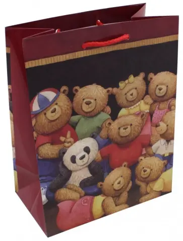 Пакет подарочный ламинированный (180х227х100 мм) (M 2255) обложка книги