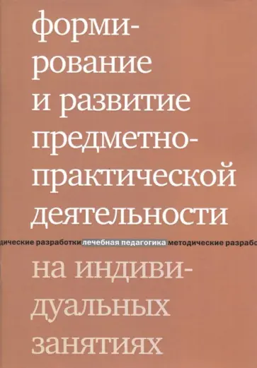 Людмила Шаргородская - Формирование и развитие предметно-практической деятельности на индивидуальных занятиях обложка книги