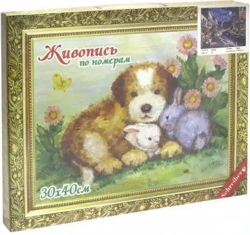 Раскраска по номерам "Вечерний город" 30х40 см., в ассортименте (S 535) обложка книги