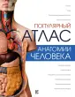 Палычева Любовь Николаевна
