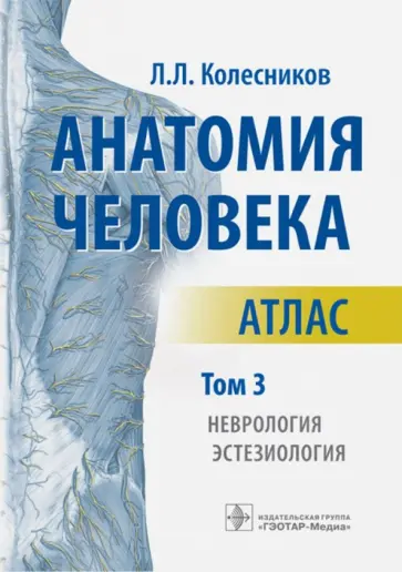 Лев Колесников - Анатомия человека. Атлас. В 3-х томах. Том 3. Неврология, эстезиология Лев Колесников - Анатомия человека. Атлас. В 3-х томах. Том 3. Неврология, эстезиология обложка книги