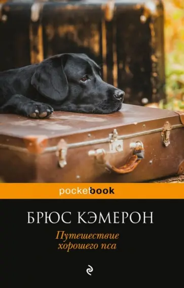 Брюс Кэмерон - Путешествие хорошего пса обложка книги