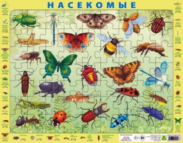 Детский пазл на подложке Насекомые России обложка книги
