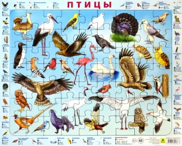 Детский пазл на подложке Птицы России обложка книги