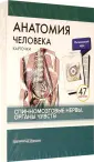Тимофеева М. О.