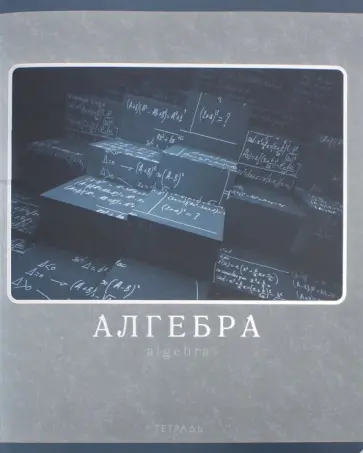Тетрадь предметная "Монохромный стиль. Алгебра" (ТТФ485935) обложка книги