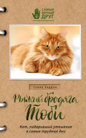 Селия Хаддон - Рыжий бродяга Тоби. Кот, подаривший утешение в самые трудные дни обложка книги