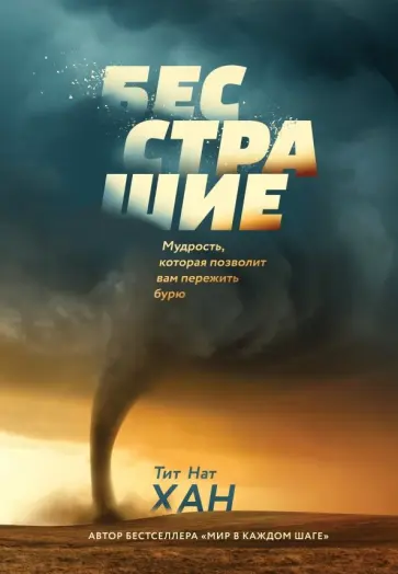 Нат Тит - Бесстрашие. Мудрость, которая позволит вам пережить бурю обложка книги