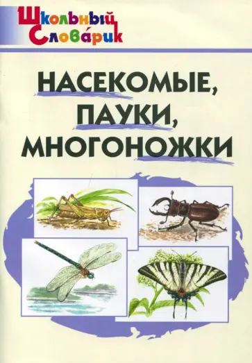 Насекомые, пауки, многоножки. Начальная школа обложка книги