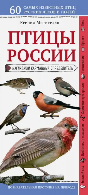 Ксения Митителло - Птицы России. Наглядный карманный определитель обложка книги