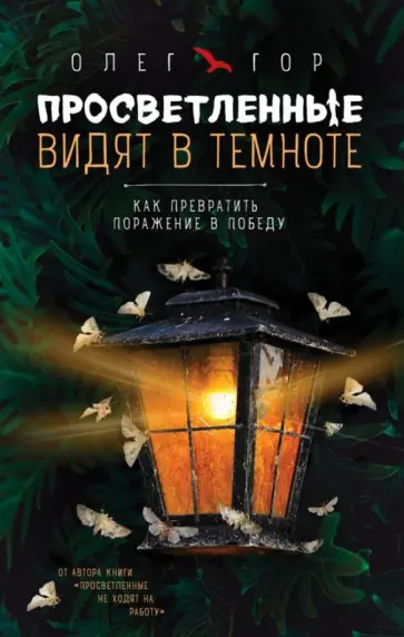 Олег Гор - Просветленные видят в темноте. Как превратить поражение в победу обложка книги