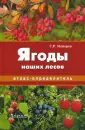 Майоров Сергей Робертович