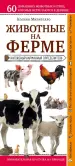 Миниатюра 1