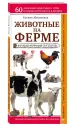 Миниатюра 2