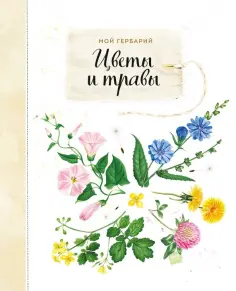 Анна Васильева - Мой гербарий. Цветы и травы обложка книги