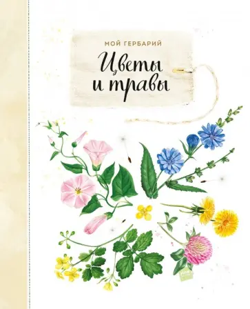 Анна Васильева - Мой гербарий. Цветы и травы обложка книги