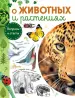 Миниатюра 1