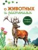 Миниатюра 3