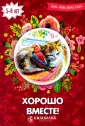 Романова И. Н.