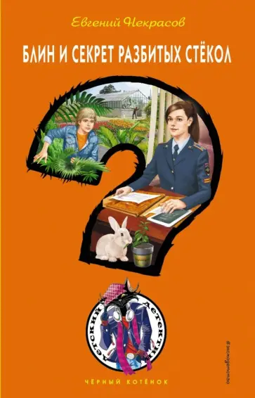 Евгений Некрасов - Блин и секрет разбитых стёкол Евгений Некрасов - Блин и секрет разбитых стёкол обложка книги