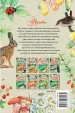 Миниатюра 2
