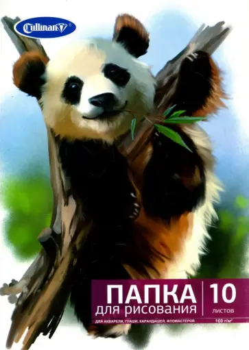 Папка для рисования "Панда", 10 листов, А4 (FK-2410) Папка для рисования "Панда", 10 листов, А4 (FK-2410) обложка книги