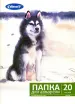 Миниатюра 2