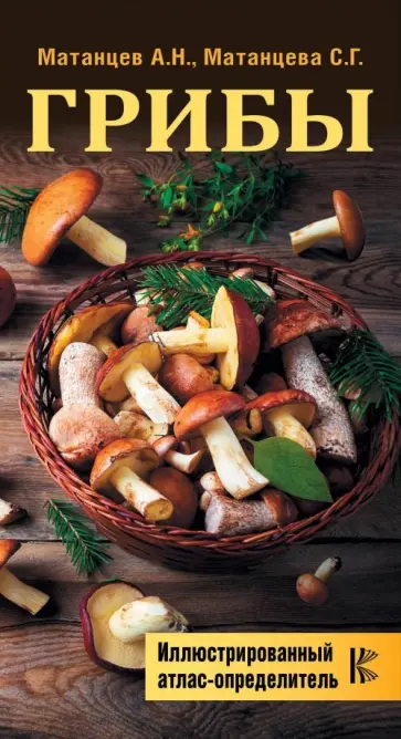 Матанцева, Матанцев - Грибы. Иллюстрированный атлас-определитель обложка книги