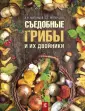 Матанцев Александр