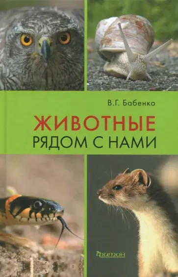 Владимир Бабенко - Животные рядом с нами обложка книги