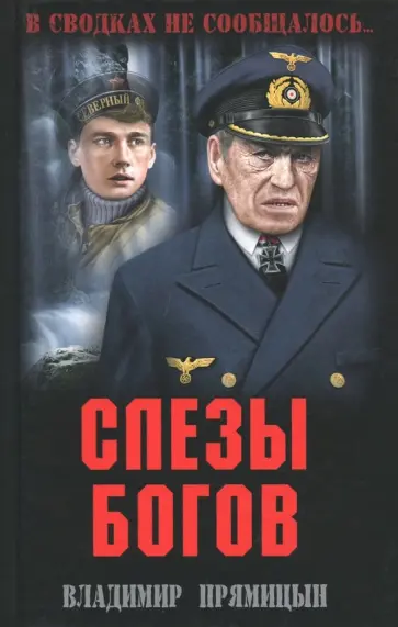 Владимир Прямицын - Слезы богов обложка книги