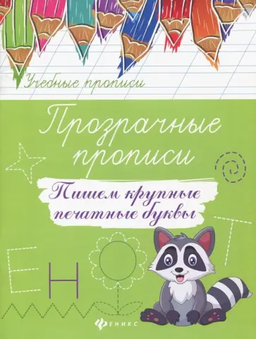 Прозрачные прописи. Пишем крупные печатные буквы обложка книги