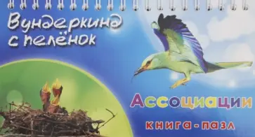 Носова, Иванова - Книга-пазл "Ассоциации" обложка книги