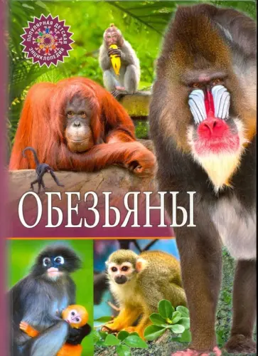 Обезьяны Обезьяны обложка книги