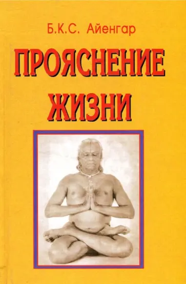Айенгар Беллур Кришнамачар Сундараджа - Прояснение жизни Айенгар Беллур Кришнамачар Сундараджа - Прояснение жизни обложка книги