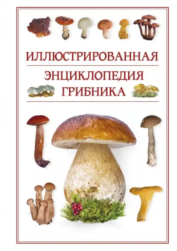 Андрей Поленов - Иллюстрированная энциклопедия грибника обложка книги