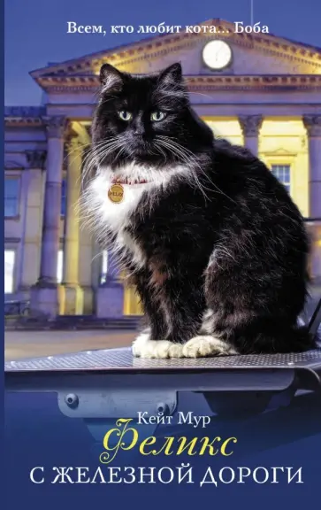 Кейт Мур - Феликс с железной дороги Кейт Мур - Феликс с железной дороги обложка книги