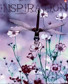 Тетрадь общая "Лавандовое настроение" (48 листов, А5, клетка, в ассортименте) (7-48-598) обложка книги