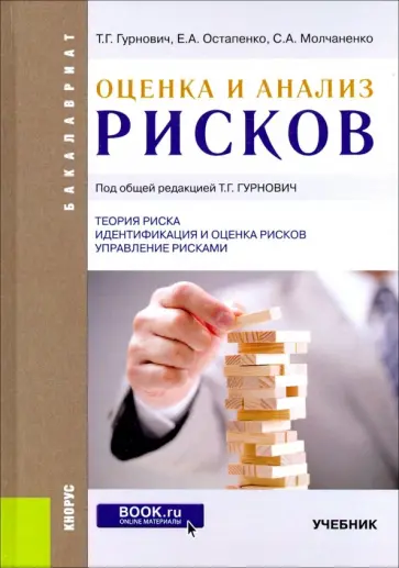 Гурнович, Молчаненко - Оценка и анализ рисков. Учебник обложка книги