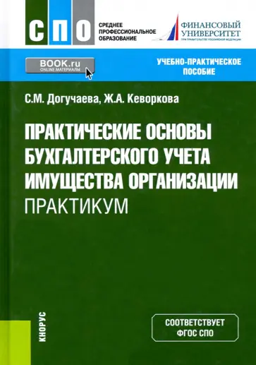 Догучаева, Кеворкова - Практические основы бухгалтерского учета имущества организации. Практикум обложка книги
