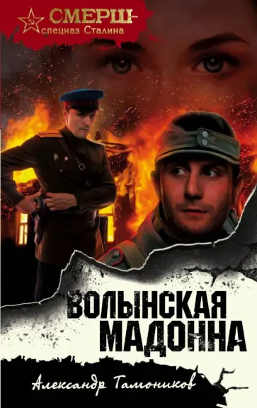 Александр Тамоников - Волынская мадонна обложка книги