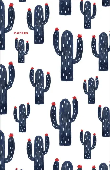 Блокнот "Кактусы. В мире огромном" (32 листа, А5, линейка) обложка книги