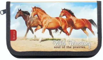 Пенал 1 отделение БЕГУЩИЕ ЛОШАДИ (ПН-5878) обложка книги