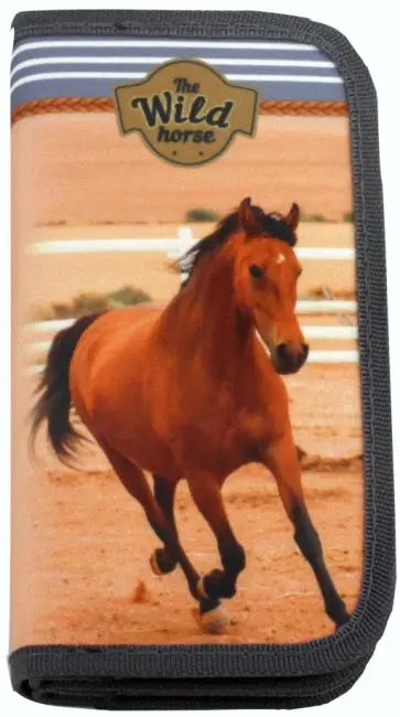 Пенал 2 отделения ДИКАЯ ЛОШАДЬ В СТЕПИ ткань (ПН-5930) обложка книги