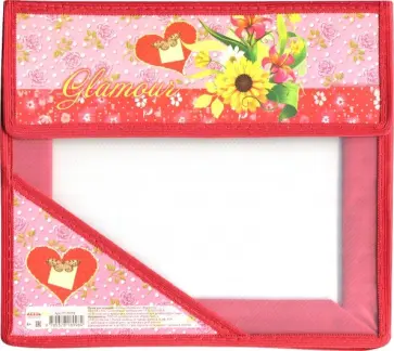 Папка для тетрадей "Стиль для девочек", А5 (ПТ-8998) обложка книги